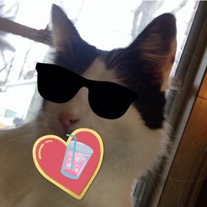 Meet your Posher, Summer